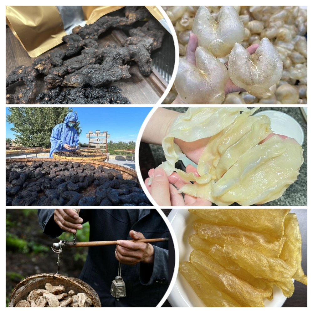 【野的】黄一精一25年份和10年份真正九蒸九晒 无添加无硫+可配花胶