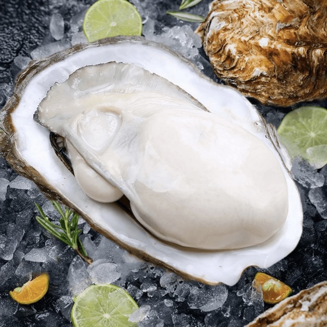 连云港发货 精品生蚝 5斤/10斤装 天气热包鲜不包活