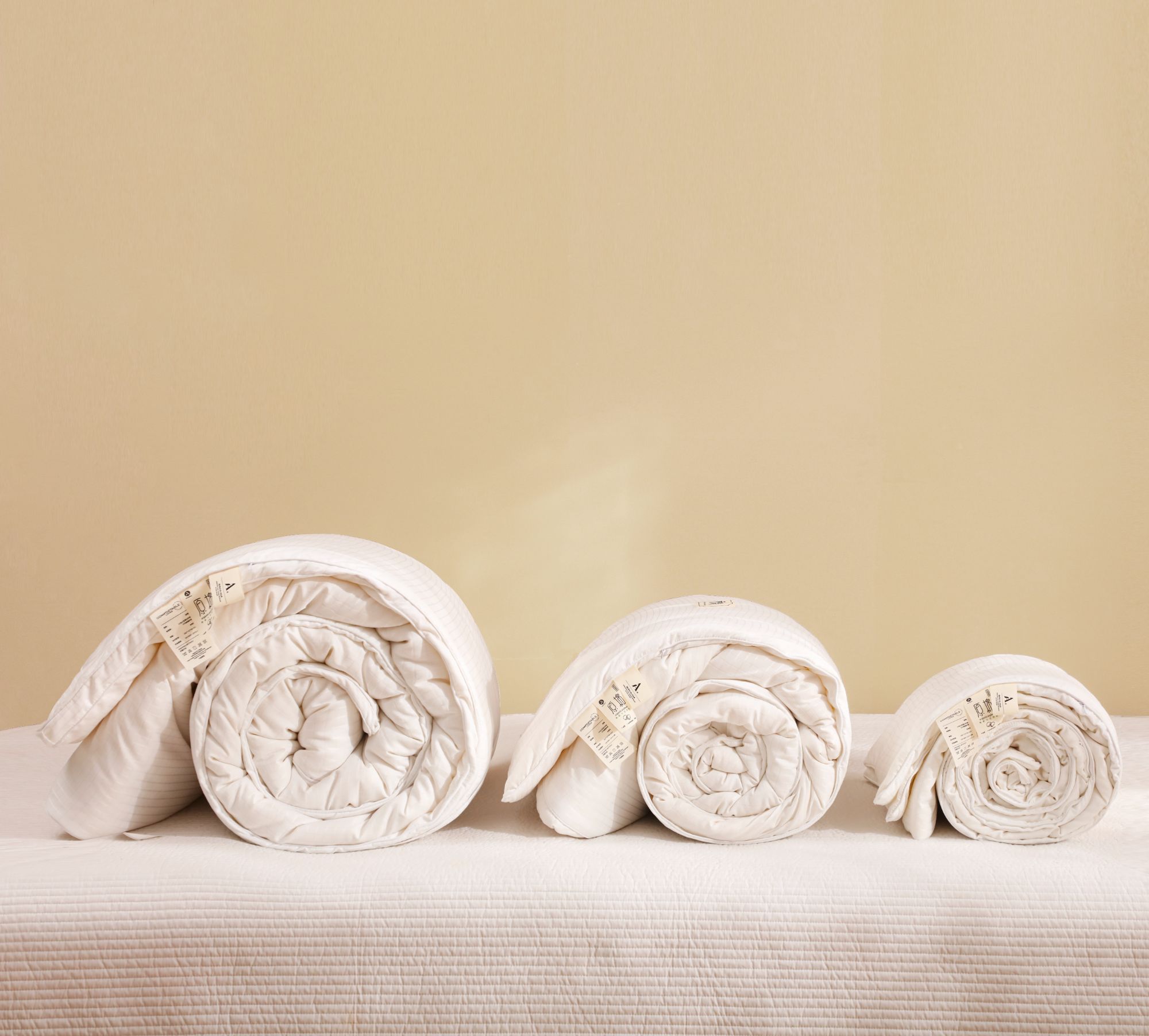 【以主播介绍为准】大豆春秋冬被孤品微单