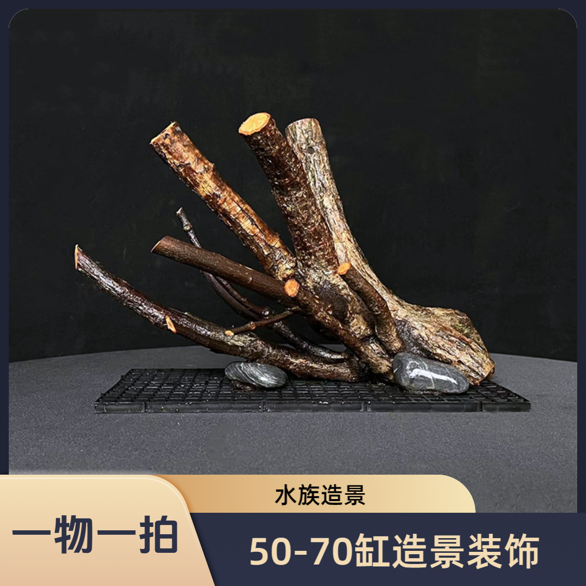 50-70缸造景（一物一拍）