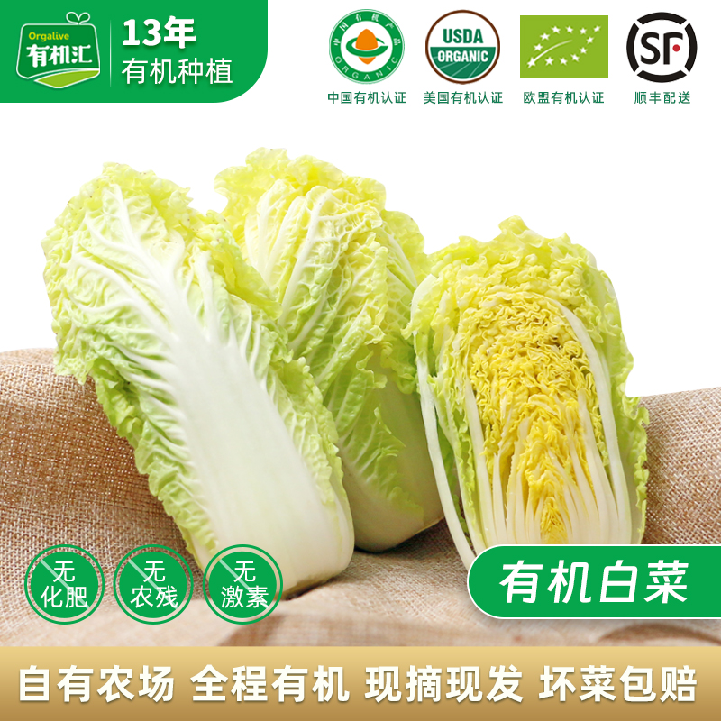有机汇有机白菜娃娃菜有机蔬菜5斤装山东潍坊顺丰包邮新鲜原产地