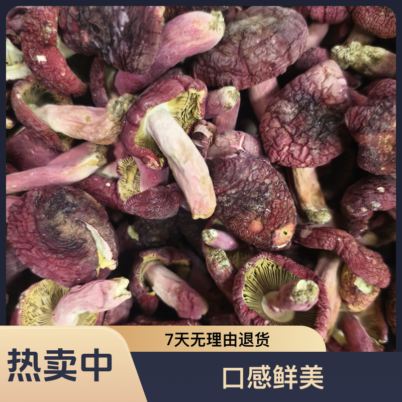 广西浪水红菇红蘑菇，口感脆又甜纯天然的红姑红菇干货
