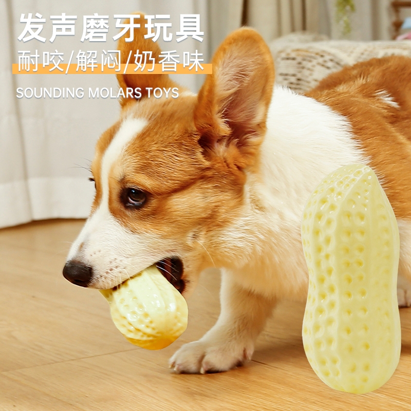狗狗玩具发声小型犬柯基比熊博美边牧解闷花生耐咬磨牙宠物狗玩具