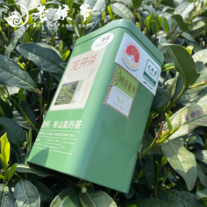 雨前龙井茶高山春茶绿茶50克尝鲜