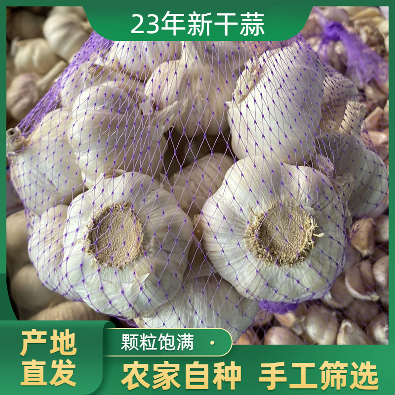农家去皮干蒜5斤干蒜大蒜头紫皮大蒜直播山东农家自种蒜100g精品