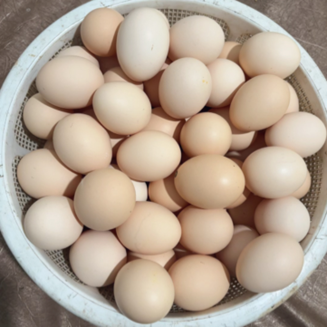贵州农家散养新鲜土鸡蛋30枚