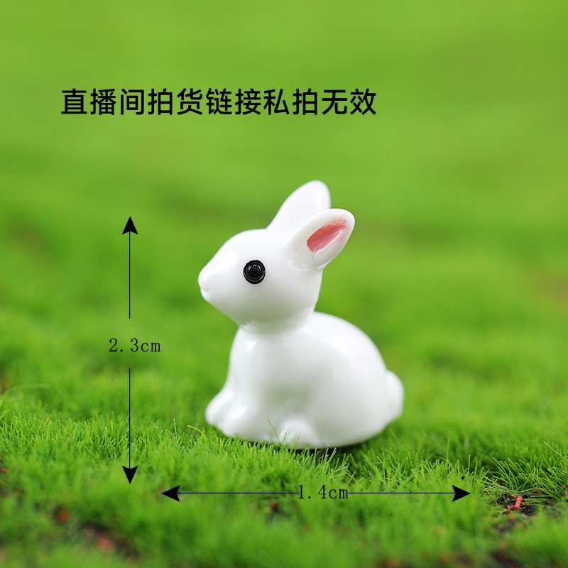 直播间拍货小摆件