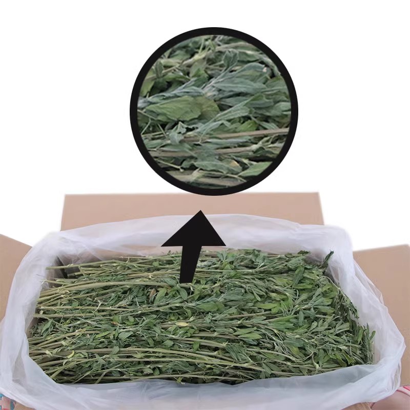 宠物兔2025年精选烘干紫花苜蓿草粗纤维牧草毛重1kg粮
