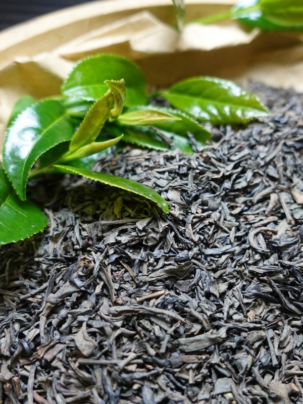 坪上炒茶 1998荒岭白叶茶芽 20克袋装
