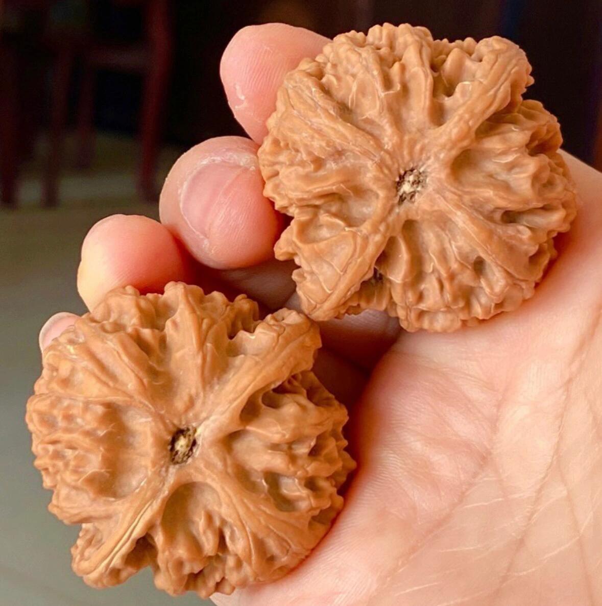 随机品种文玩核桃一对