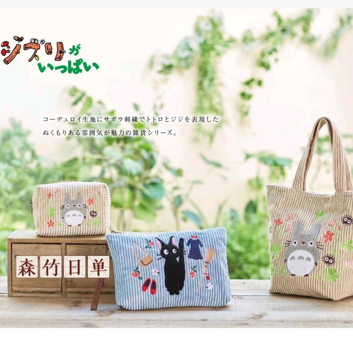 日单卡通 吉吉猫 龙猫 亚美姆明包