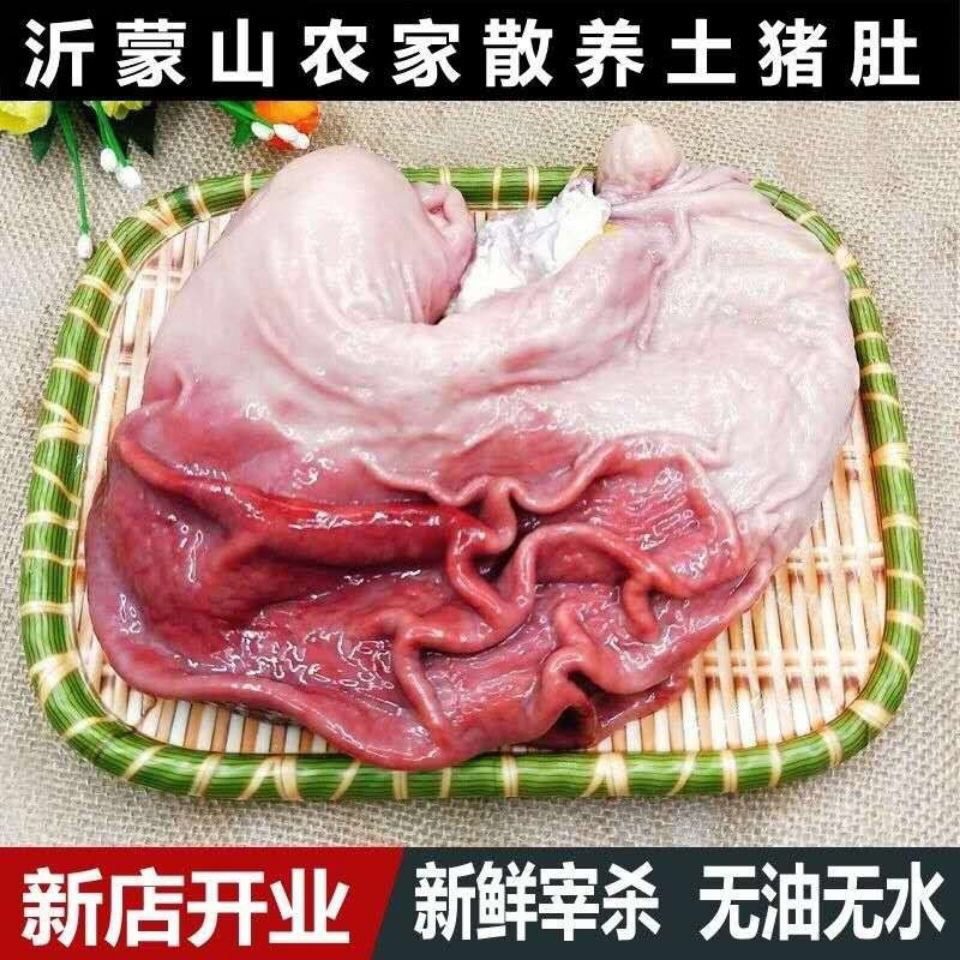 新鲜猪肚子土猪肚黑猪肚子清洗干净现杀现发装优质食用土猪肉猪胃
