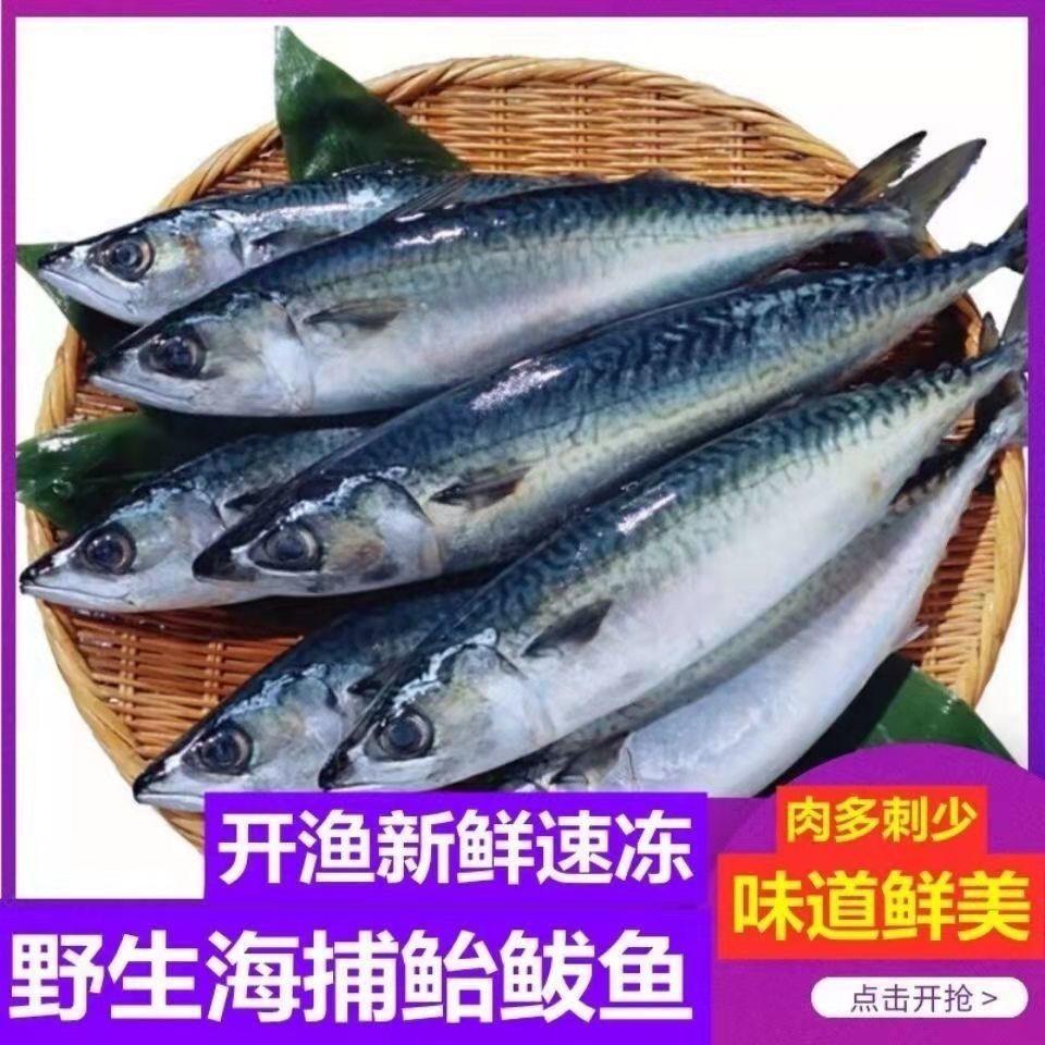 青鱼新鲜鲅鱼新鲜特大青花鱼青条鱼深海鲐鲅鱼批发海鲜带箱