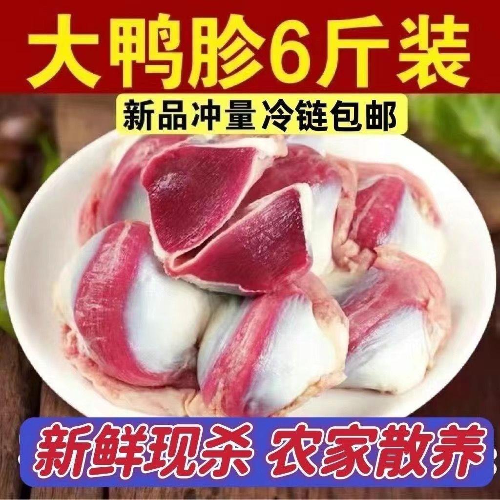 农家散养新鲜现杀大鸭胗冰鲜鸭肫鸭胃鸭肾卤味食材鸭肉批发手工