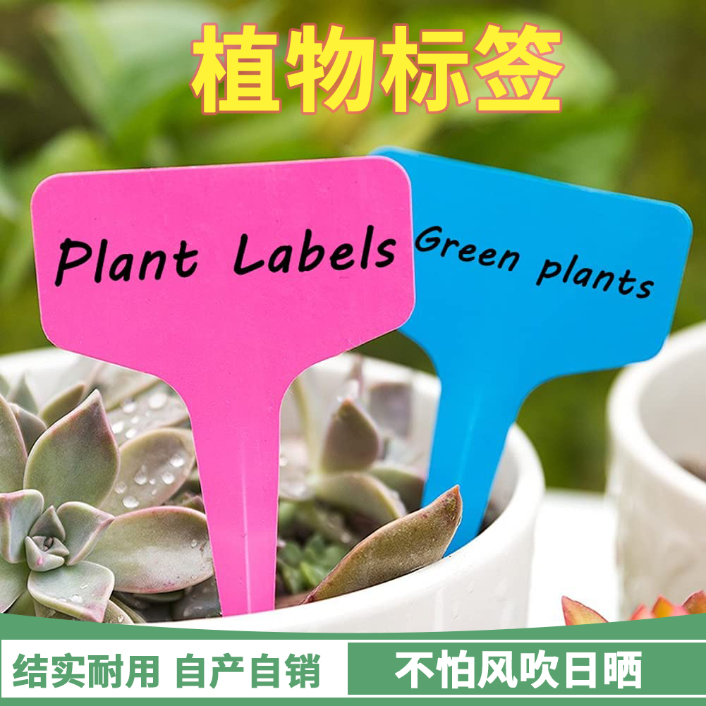 种植标签花卉标签园艺标签植物标签牌植物吊牌塑料标签防水小插牌