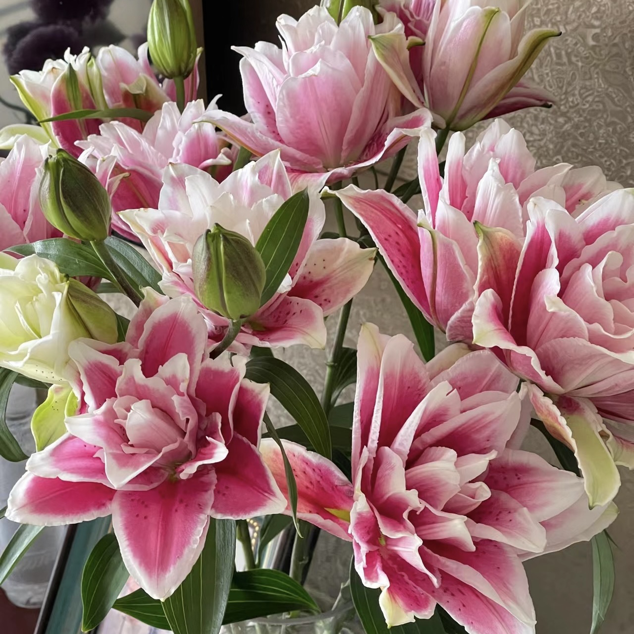 【火星之恋】重瓣百合东北冬季鲜花基地顺丰包邮办公室简单点缀鲜花