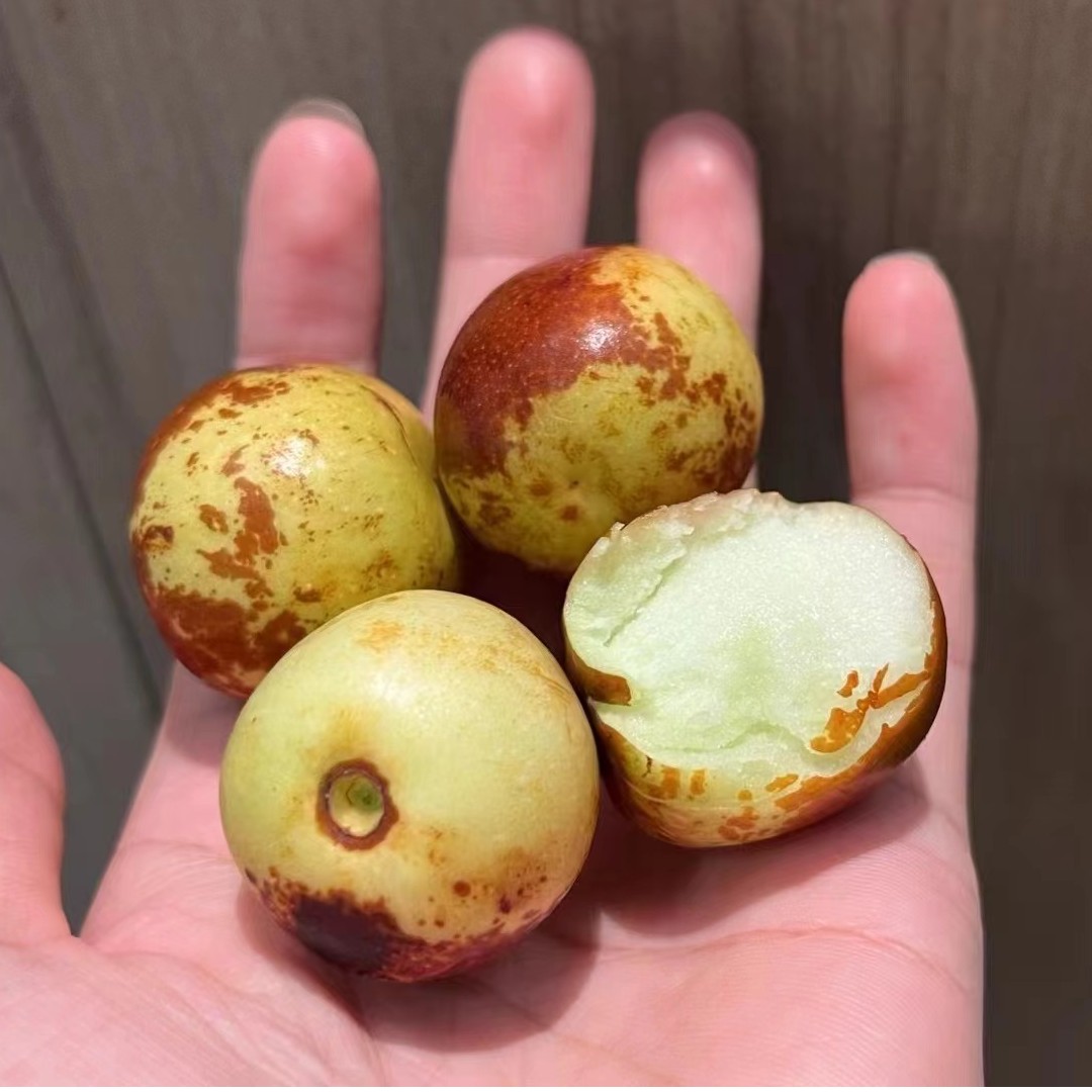 【掌柜推荐】酥脆冬枣（脆甜化渣）