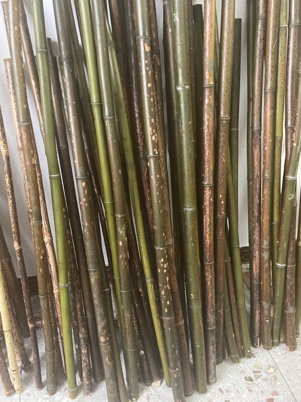 斑竹竹料，直播付米专用