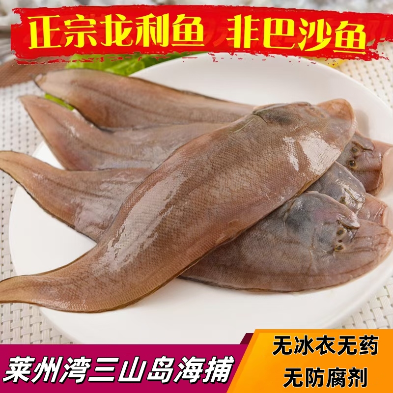 莱州湾海捕小塔米尖子6斤净重小舌头鱼海捕龙利鱼海鲜海产包邮