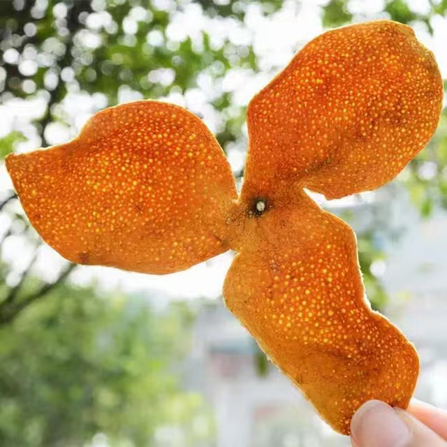 柏柳紧压白牡丹2020年180克两盒加手提袋