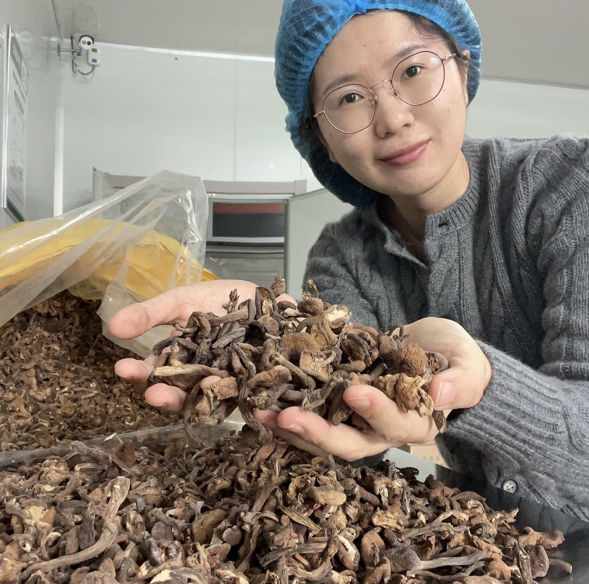 林区胡杨小兴安岭手挑剪根丁片混装东北榛蘑干货