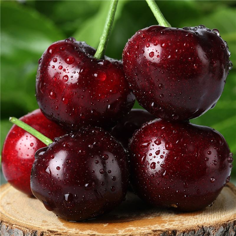 五斤2JD智利车厘子礼盒装（海运进口5%损耗正常）