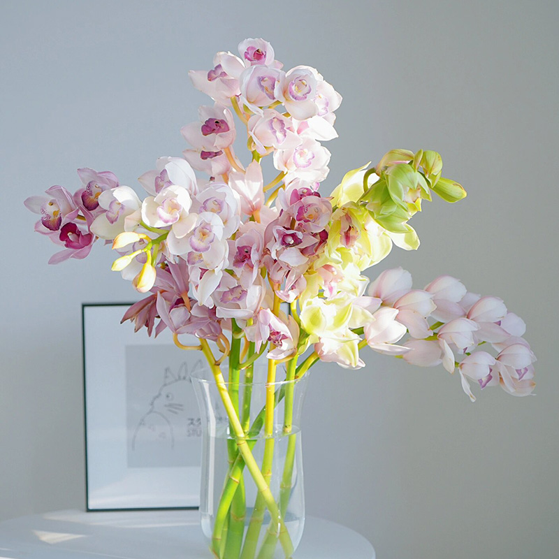 大花惠兰鲜切花云南基地直发家用兰花大花蕙兰鲜花插花喜庆年宵花