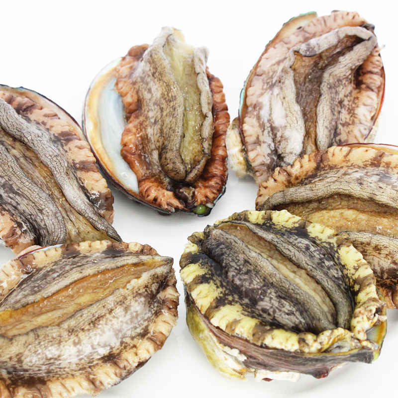 鲍鱼（特大）约500g（5-6个/份）