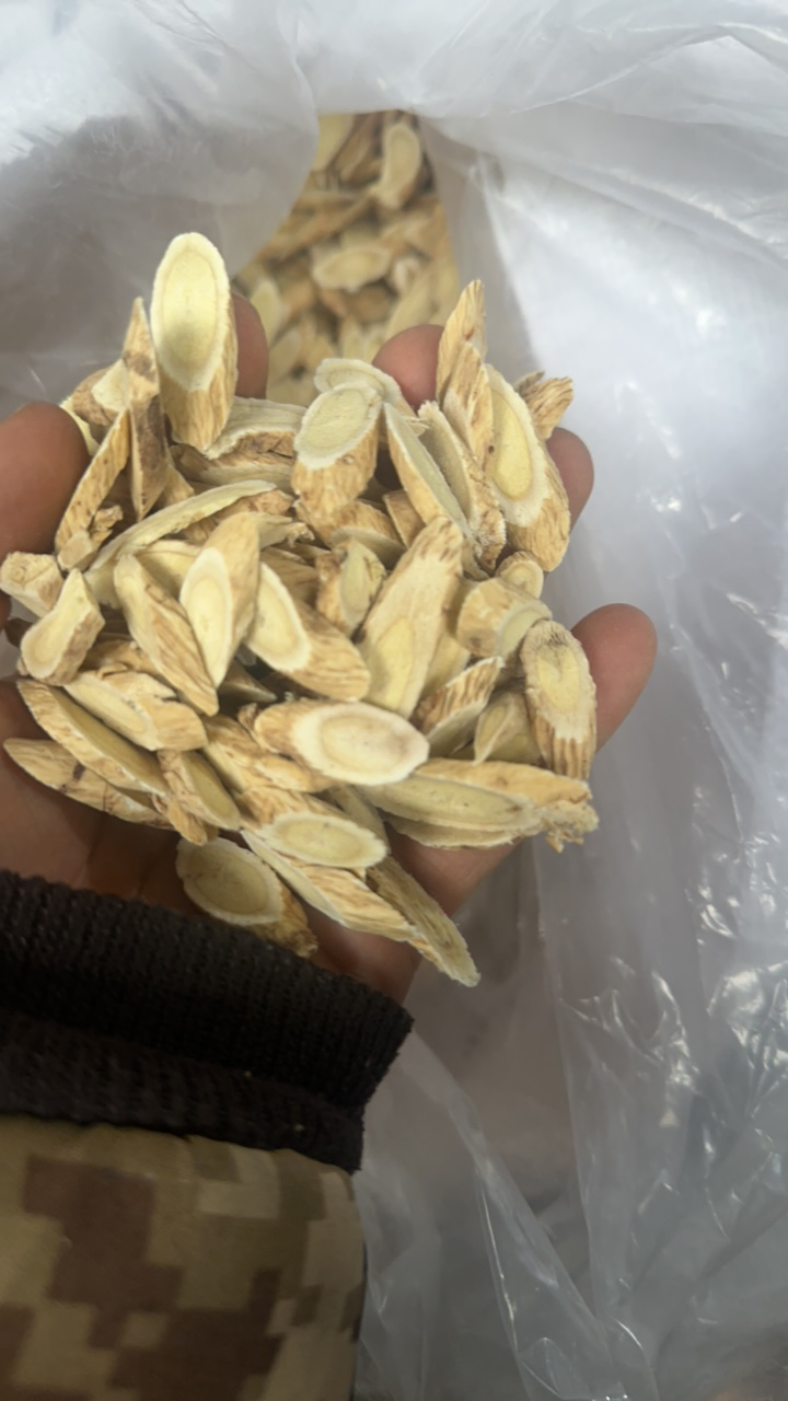 甘肃黄芪（小马严选）