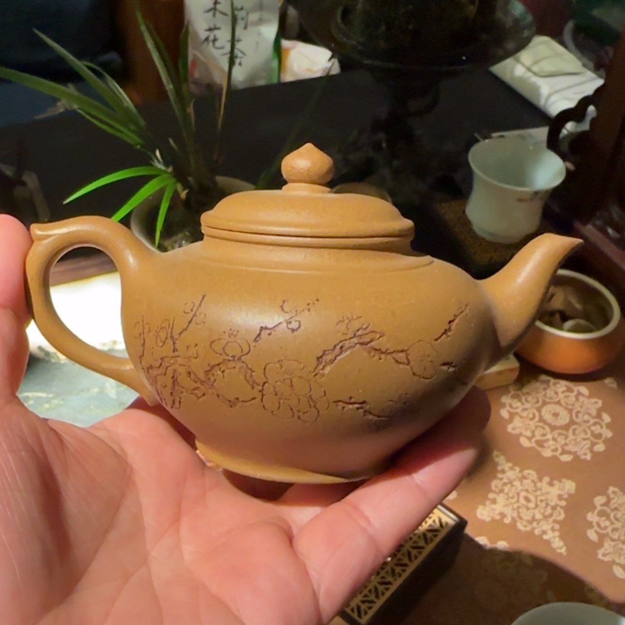 【闪购商品】七天无理由退换货半**俗