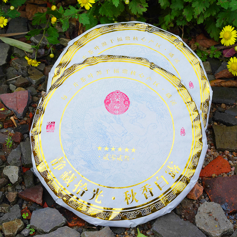 龙饼2023福鼎寿眉白茶一级白露寿眉紧压茶饼300g福鼎白茶