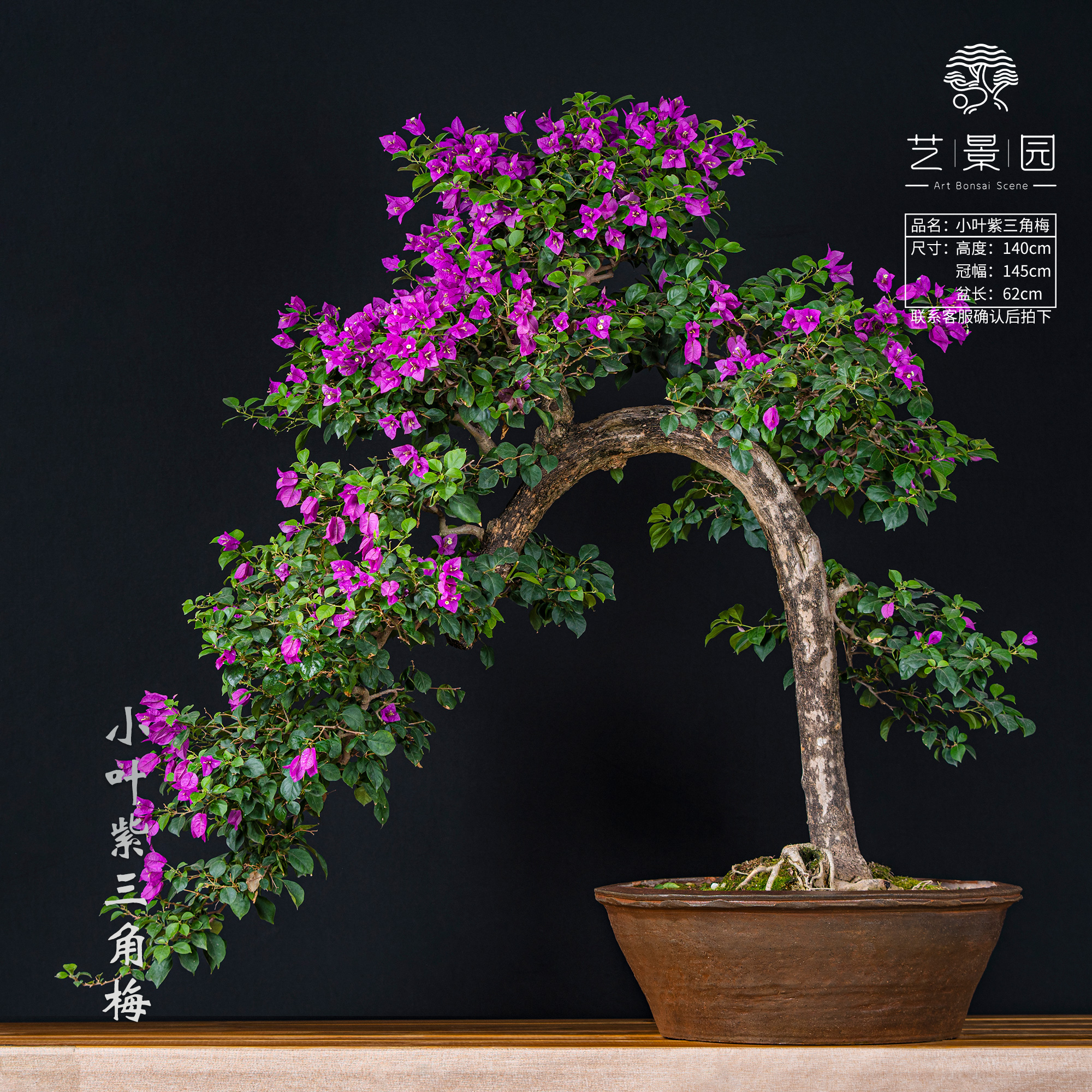 【艺景园-娜娜】-三角梅通用链接一物一拍   直播间截图为准（8800）