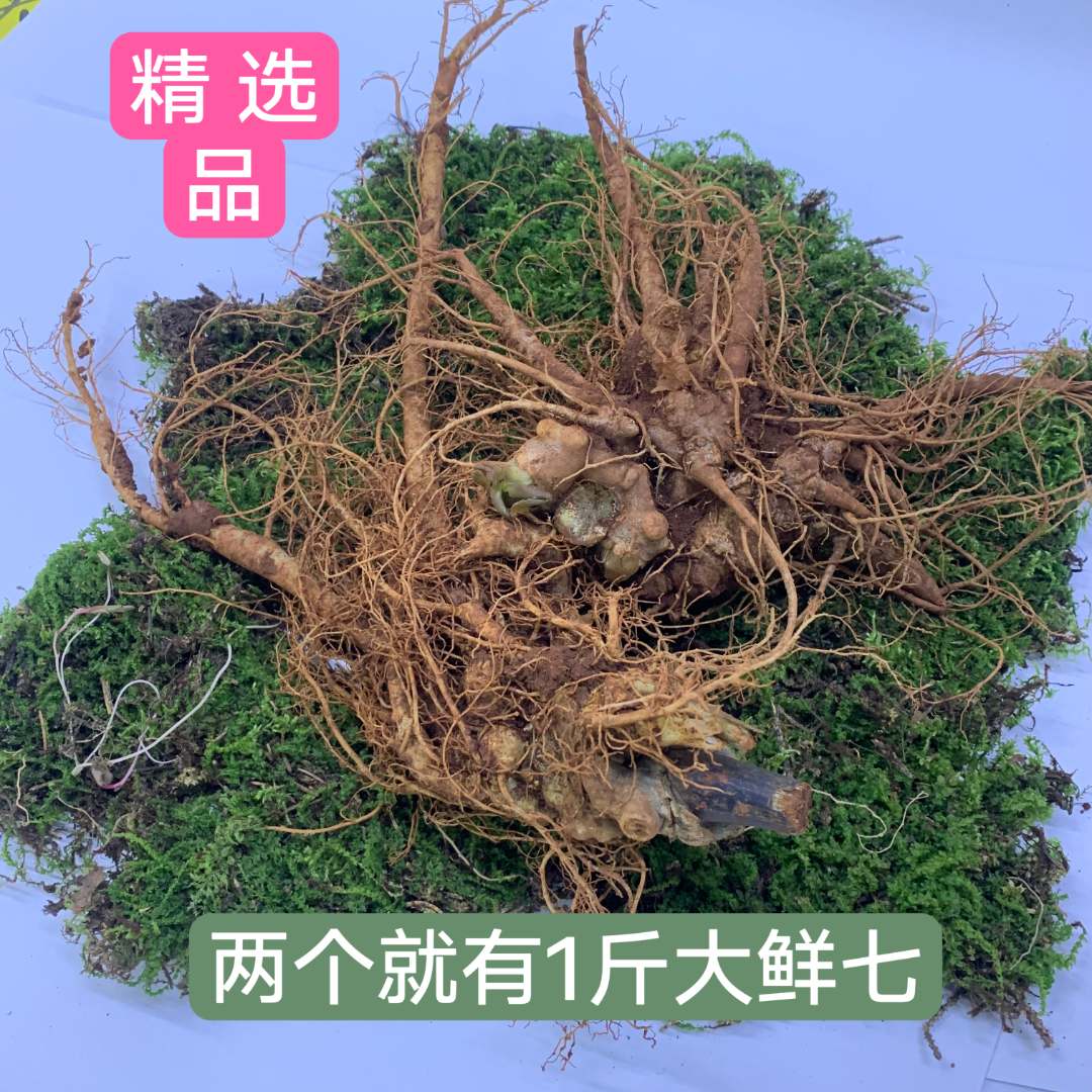 云南文山鲜三七 可炖汤泡酒500克 云南特产