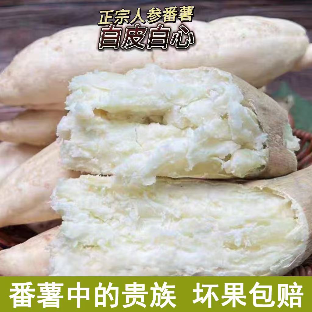 正宗牛奶人参薯爆粉现挖新鲜香甜白心板栗薯烤番薯3-5-9斤包邮