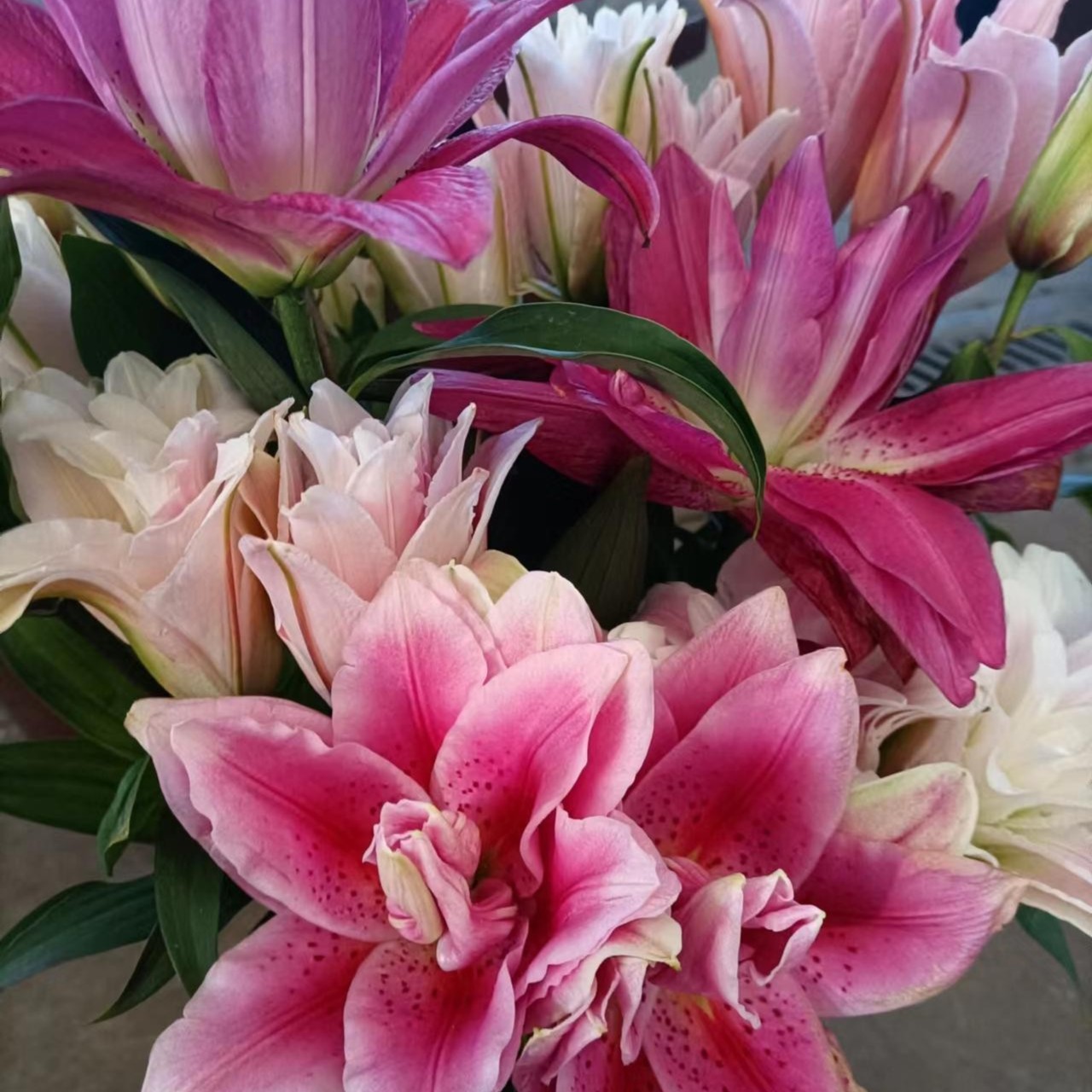 百合（一二头）4扎一个邮费（20%运损不售后）0度以下必拍保温棉