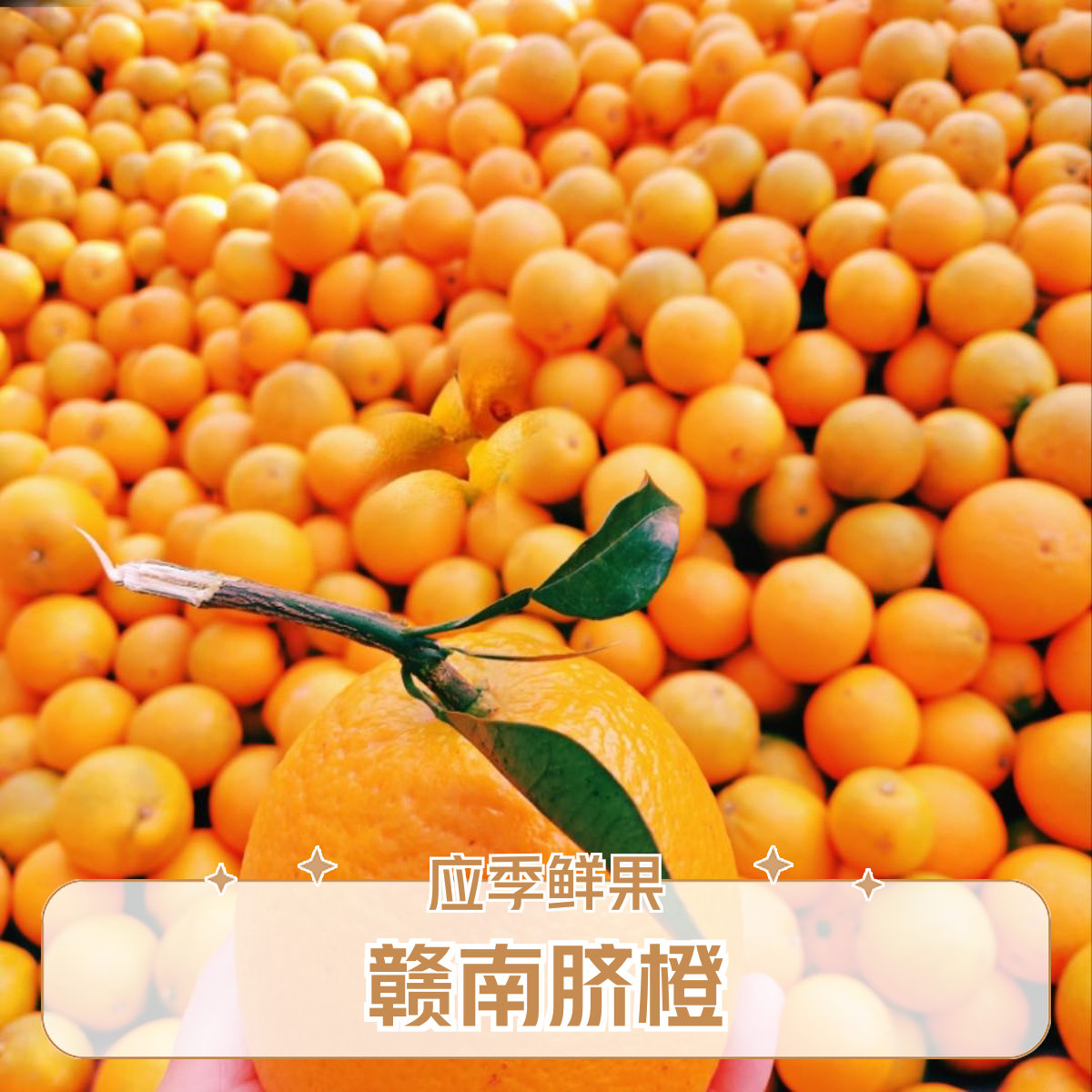 江西赣南自种赣南脐橙应季水果新鲜现发轻微花皮5斤，10斤装