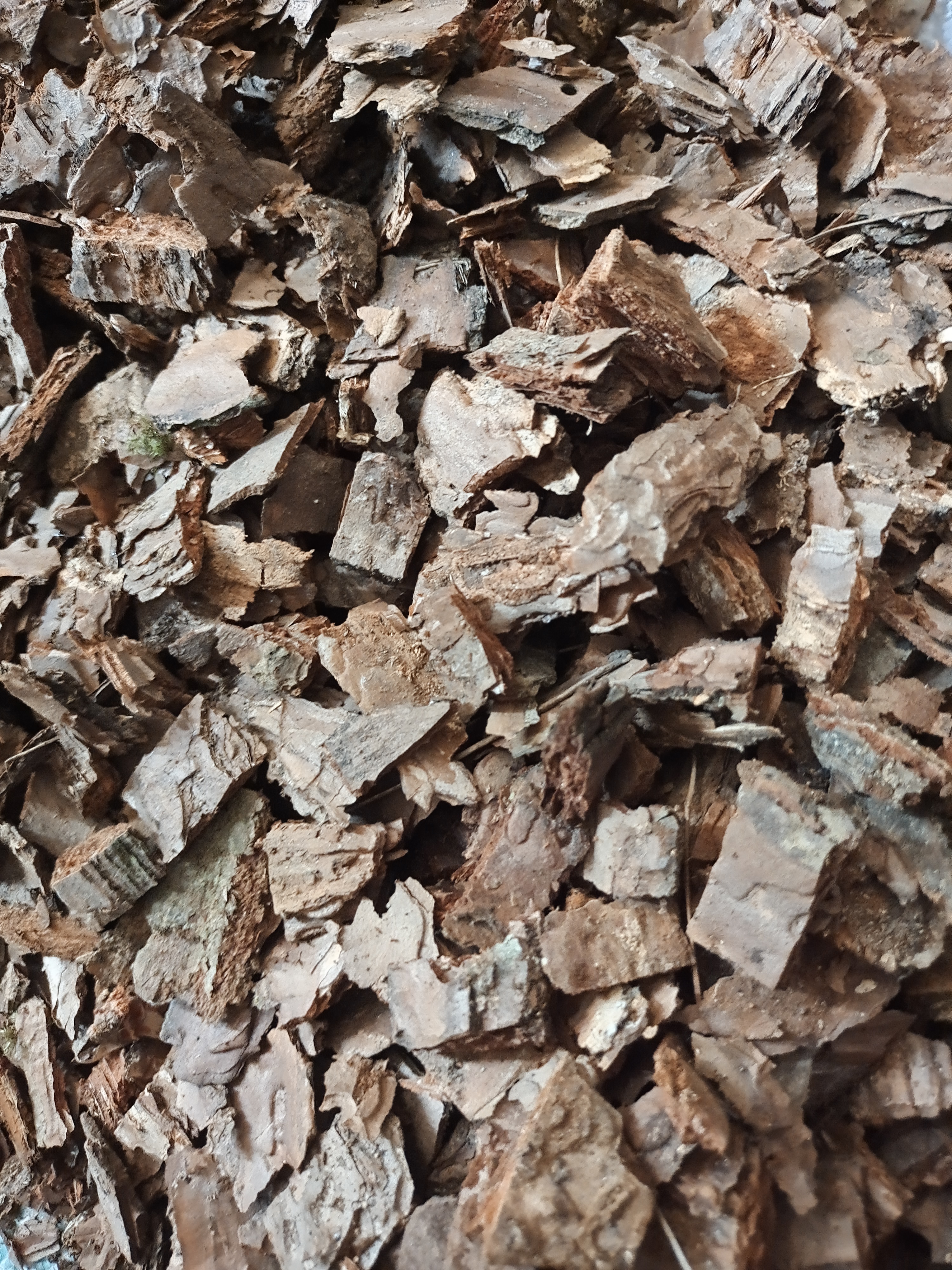 腐熟松树皮保水透气种兰花月季