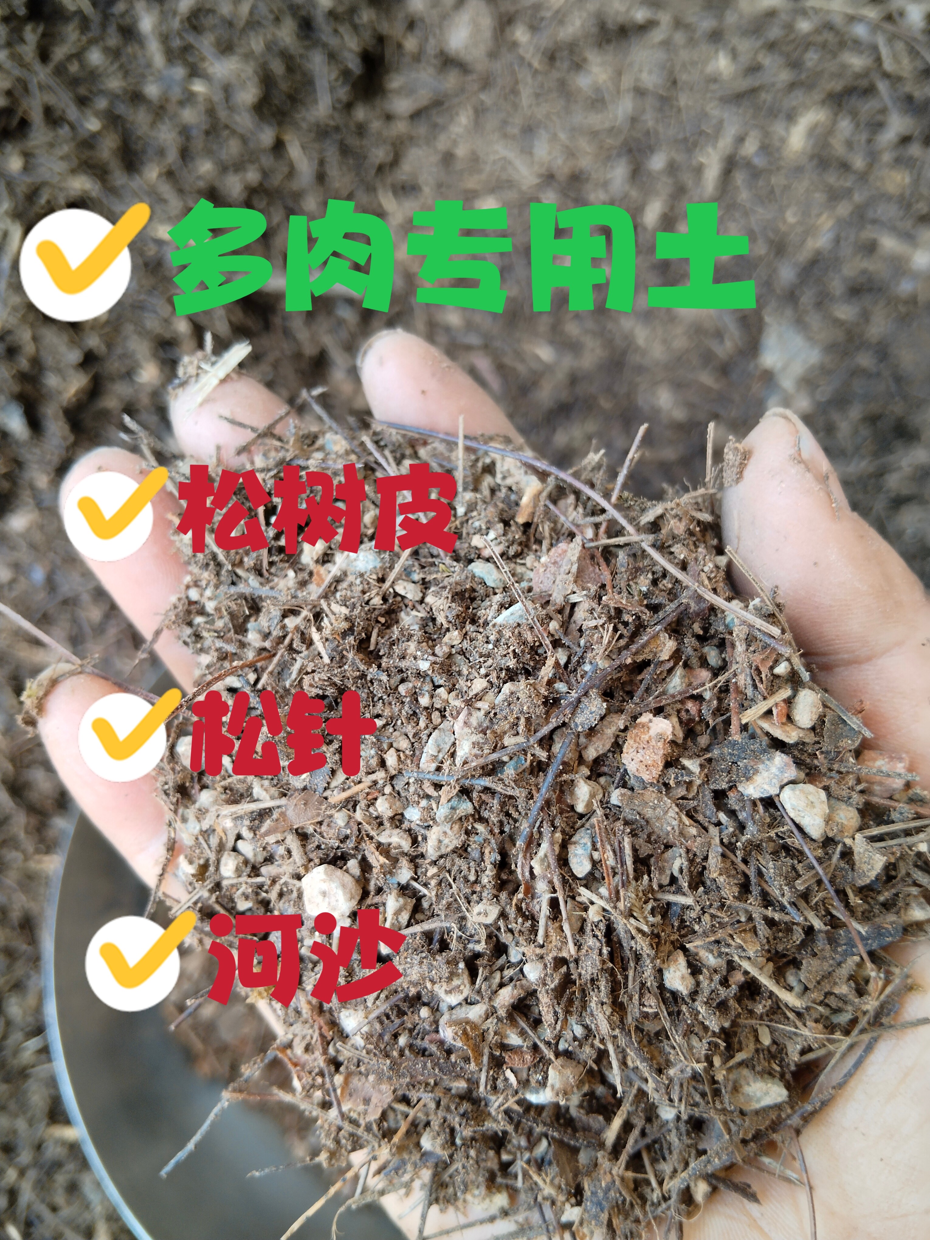 多肉专用土松针松麟河沙