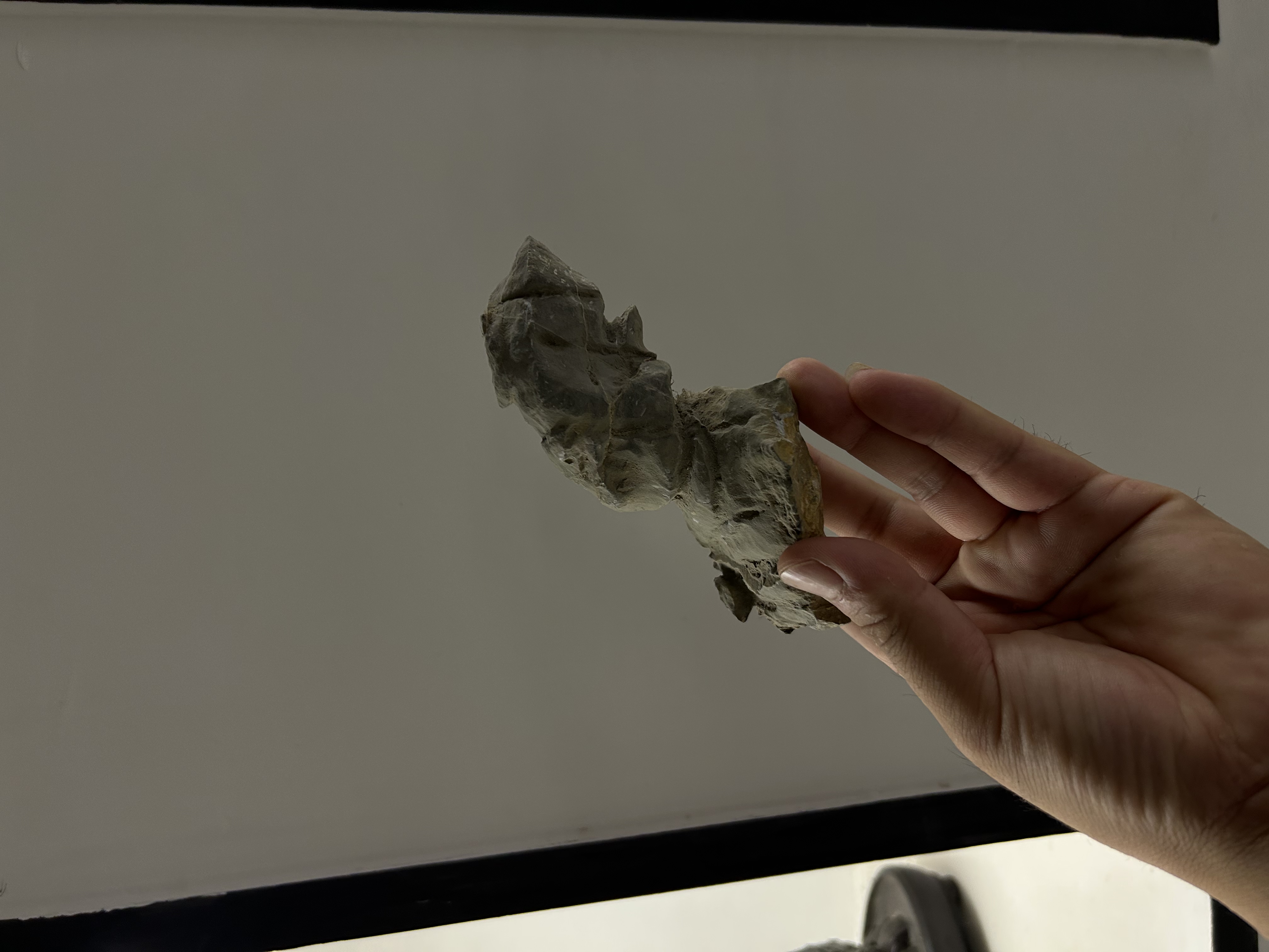 灵璧奇石一物一拍，此图仅供参考