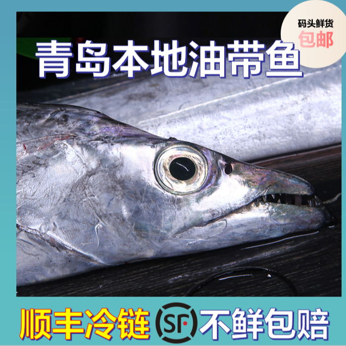 Y【精品大带鱼】大号青岛油带小眼带净6斤约6-7条个别有破肚划皮