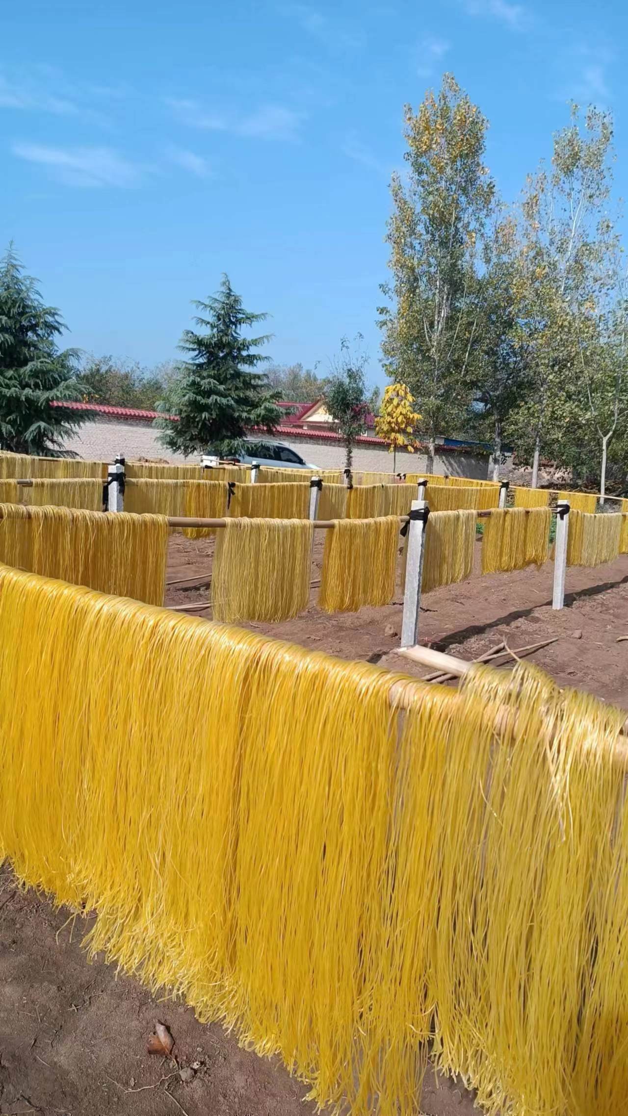 河南特产红薯纯手工正宗无添加地瓜红苕细粗