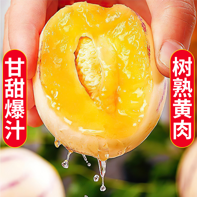 云南石林人参果黄肉多汁纯甜无酸新鲜水果-ys-zg-5