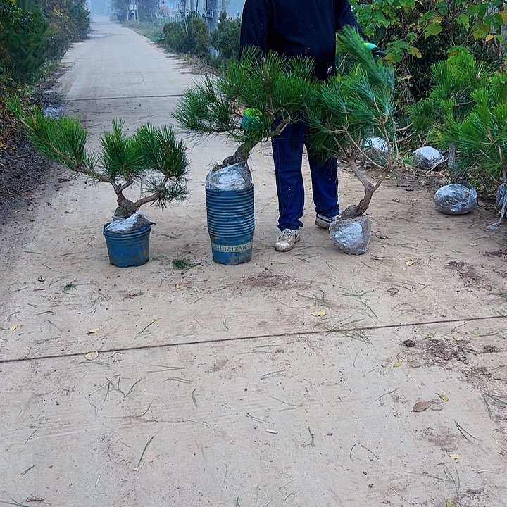 东****卖88888888888889