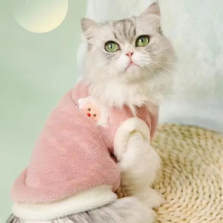 可爱秋冬季猫咪衣服狗狗冬保暖加厚背心防掉毛布偶宠物衣服小型犬
