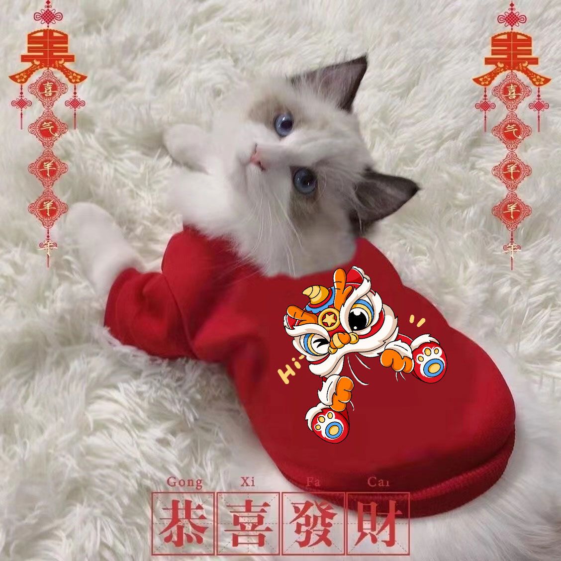 狗狗猫咪秋冬装泰迪比熊博美小狗小型犬宠物冬季卫衣加厚保暖卫衣