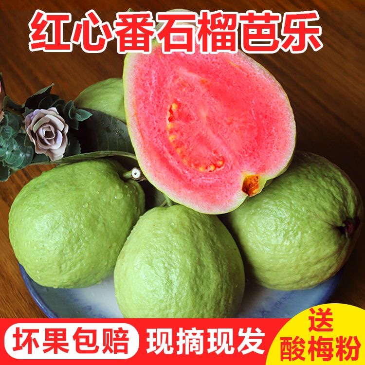 【全国包邮】红心芭乐番石榴酸甜口感一件1.8公斤左右好吃香甜树上