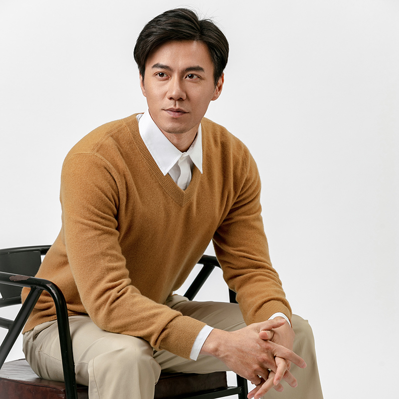 断码男士修身V领100%美丽诺羊毛衫秋冬休闲保暖针织长袖鸡心领875