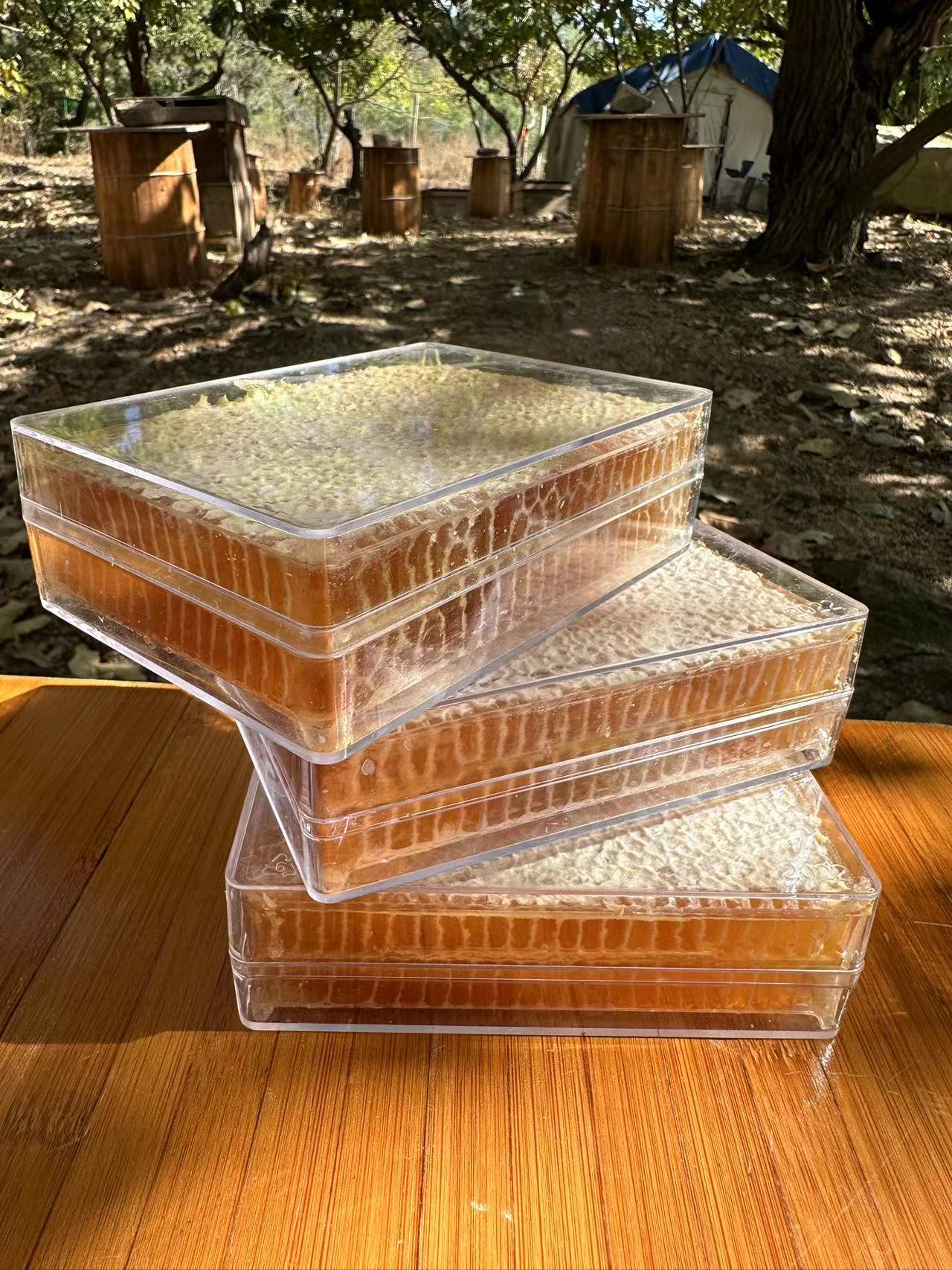 纯正天然蜂巢蜜3斤直接嚼着吃的蜂蜜连蜂窝一起端