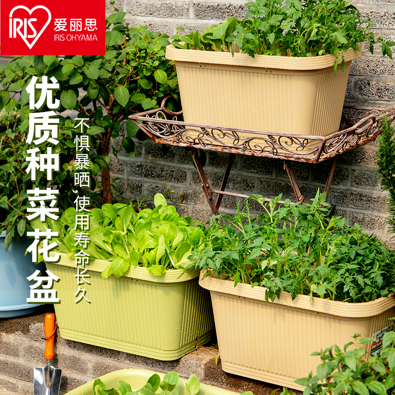 【爱丽思果蔬菜盆】种菜盆室内长条花盆塑料种植阳台蔬菜环保种植
