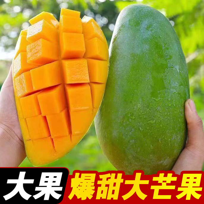 大青芒新鲜水果香甜特大果核薄多汁肉厚无丝金煌芒奶茶店批发整箱